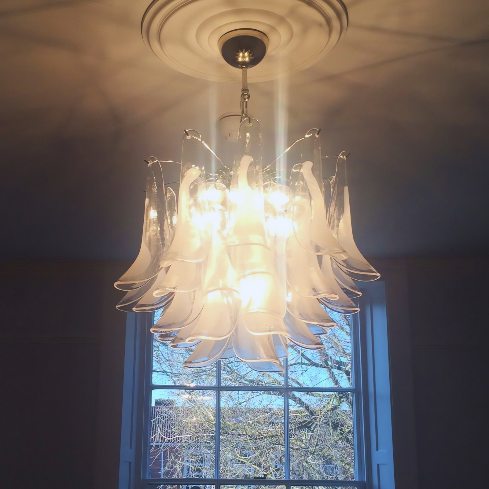 White Petali Murano chandelier fully lit, highlighting the intricate design and ambient light reflections on the ceiling, perfect for a modern or classic interior.