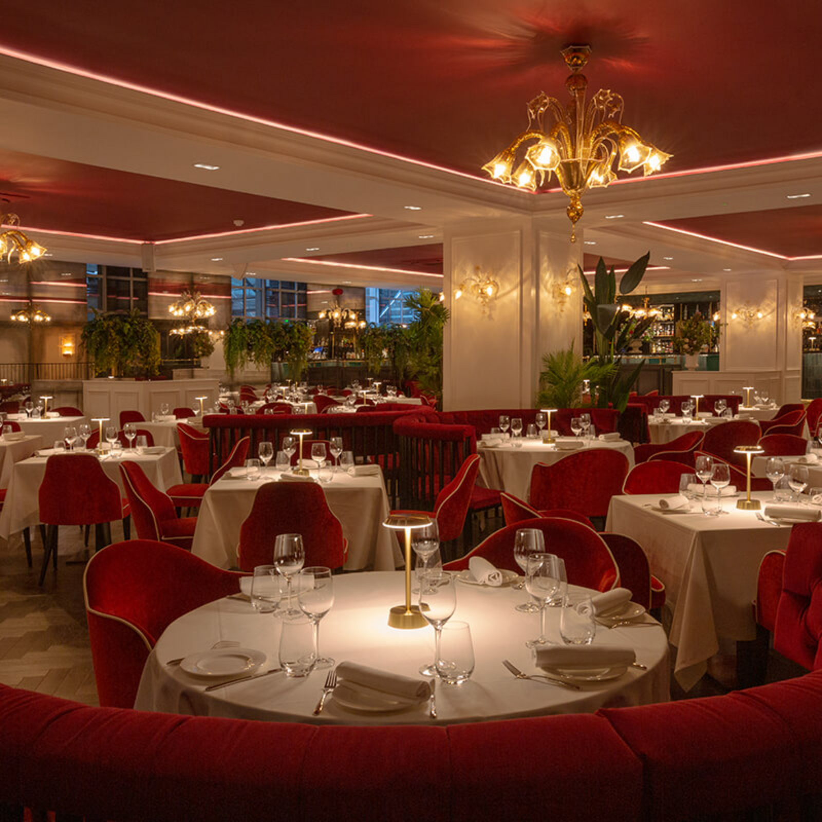 amber murano glass chandelier in restaurant - bespoke luxury lightig