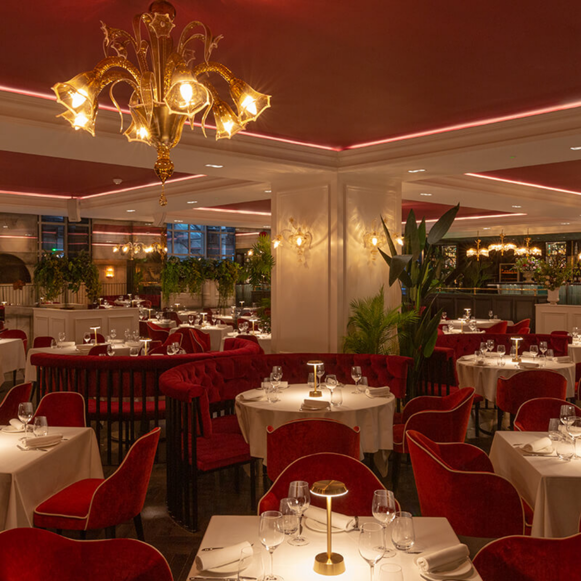 amber murano glass chandelier in restaurant - bespoke luxury lightig